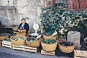 38 Ferentino